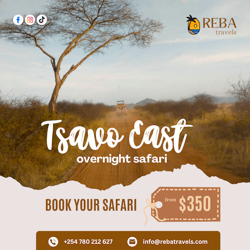 Poster Design for Reba Travels